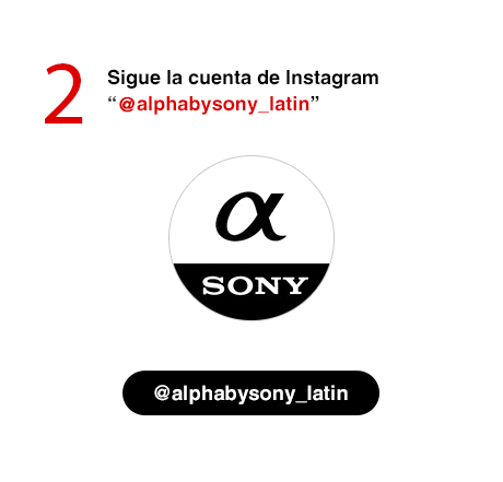 Paso 2: Sigue a la cuenta de Instagram @AlphaBySony_Latin